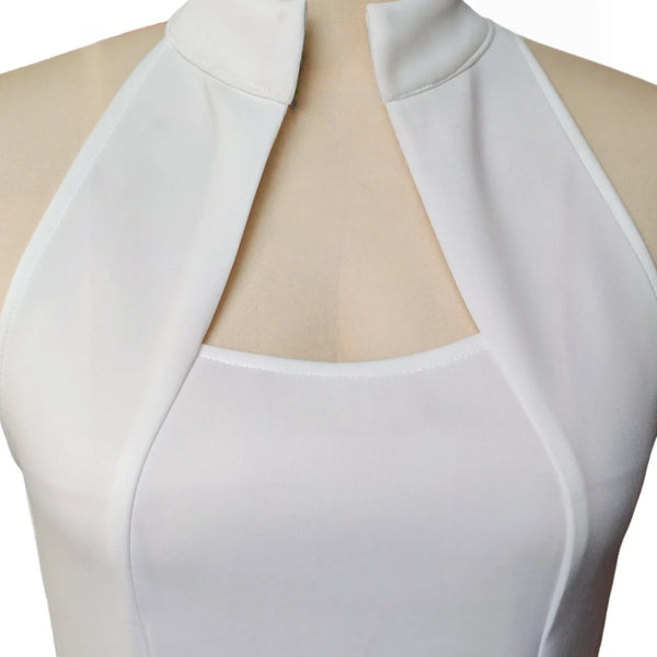 Elegant Sleeveless Neckline Gown Stand Collar Knee-Length Slim Fit Dress for Women Holiday Parties Spring Summer New Arrival