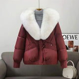 Wine Red new / L